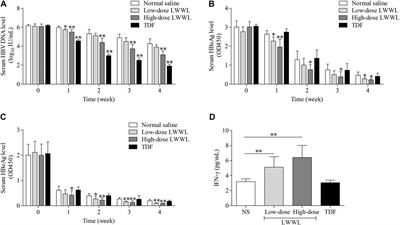 Chinese Patent Medicine Liuweiwuling Tablet had Potent Inhibitory Effects on Both Wild-Type and Entecavir-Resistant Hepatitis B Virus (HBV) in vitro and Effectively Suppressed HBV Replication in Mouse Model